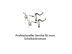 Avid Bremsen Service